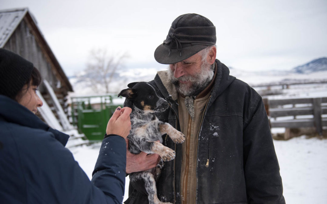 Day 9: Living with Wolves in Yellowstone