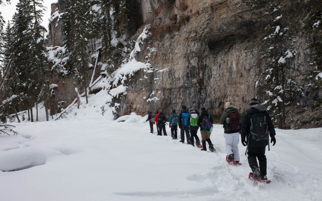 Day 1: Yellowstone Orientation