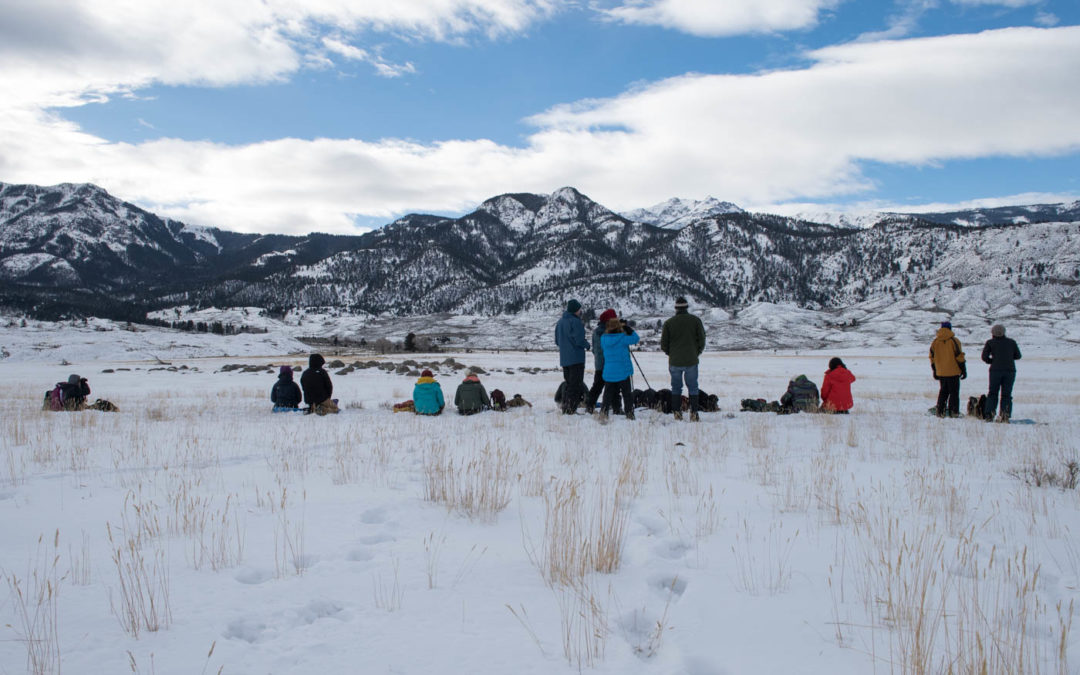 Day 3: Pronghorn and Winter Ecology