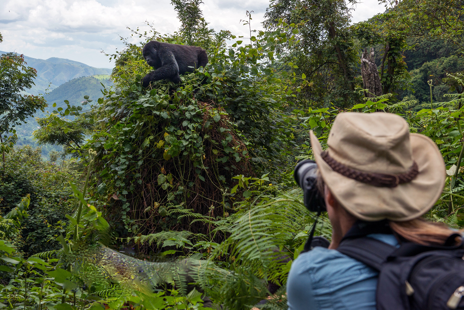 Jo with mntn gorilla